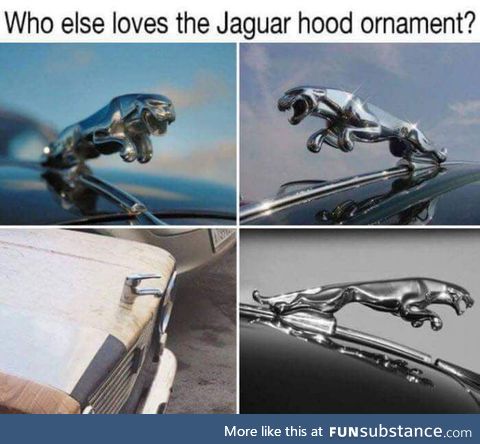 Who else loves Jaguar?