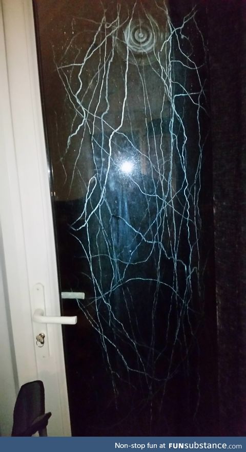 Slug trails all over the patio door