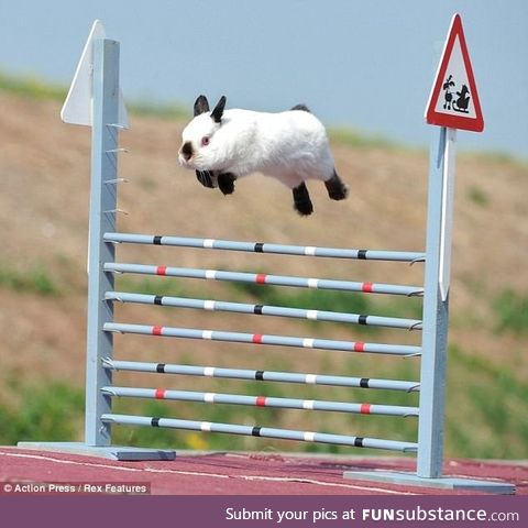 Kaninhop A.K.A. Swedish rabbit jumping