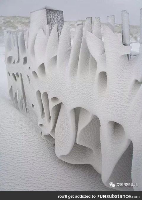 The snow on this fence