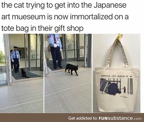 Cat are really gods