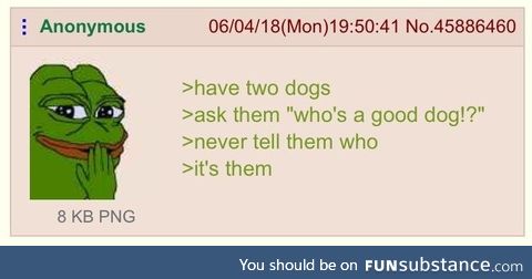 Anon has two dogs