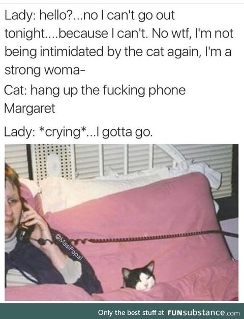 But it's a cat though