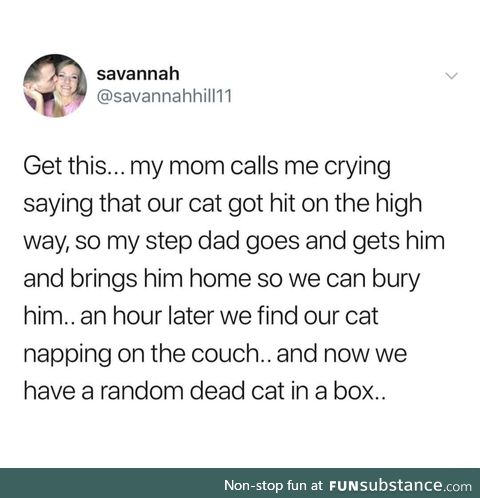 Can't even identify your own cat