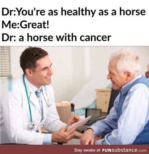 Healthy as a horse!!!