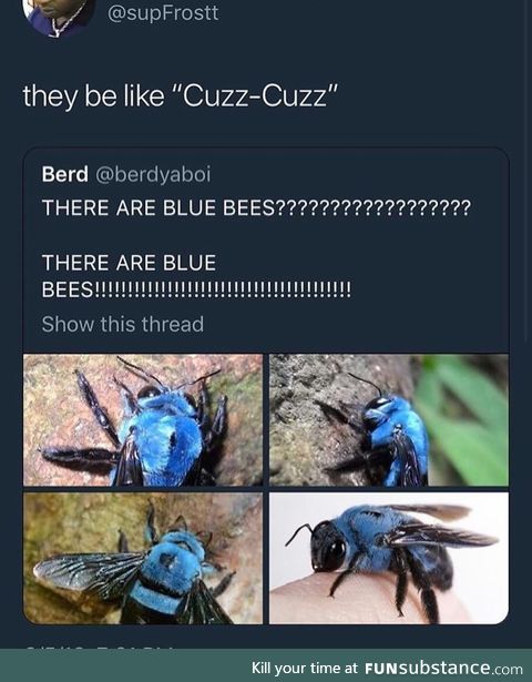 Blue bees