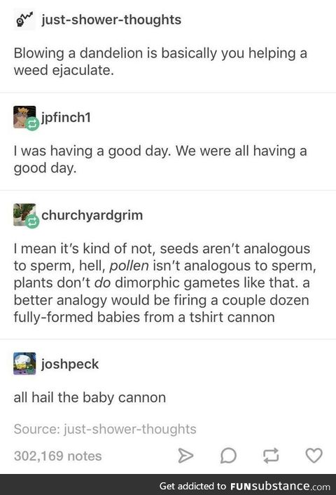 All hail the baby cannon