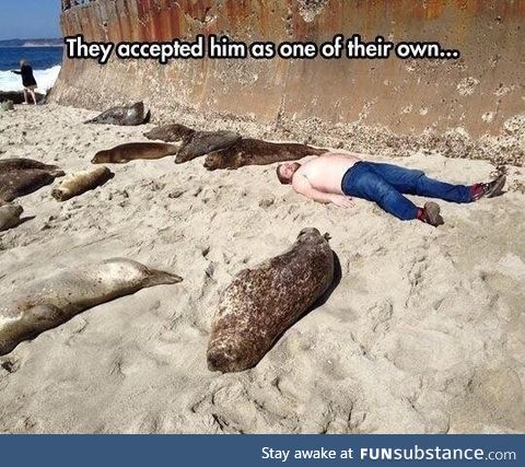 Silly seals