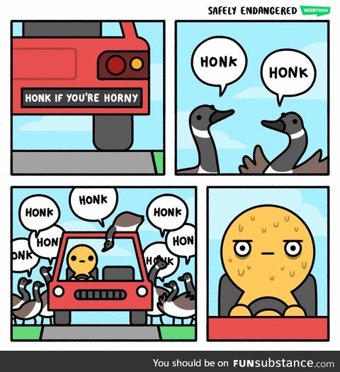 Honk