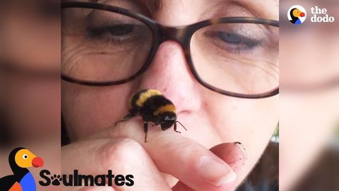Little Bumblebee and the woman who rescued her. (FeelsSubstance)