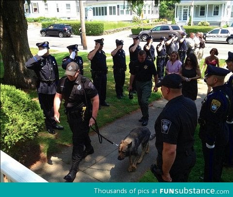 Police bidding farewell to one of their Police dogs before he's put down