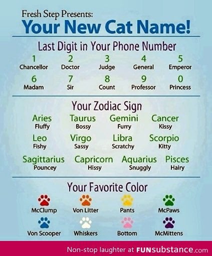 What's your new cats name?