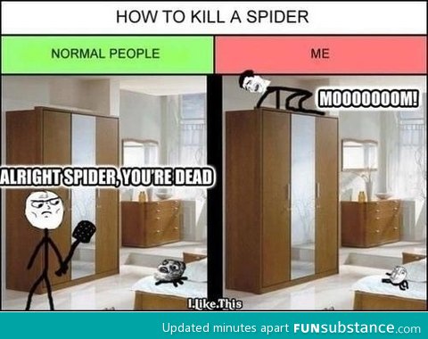 How to kill a spider