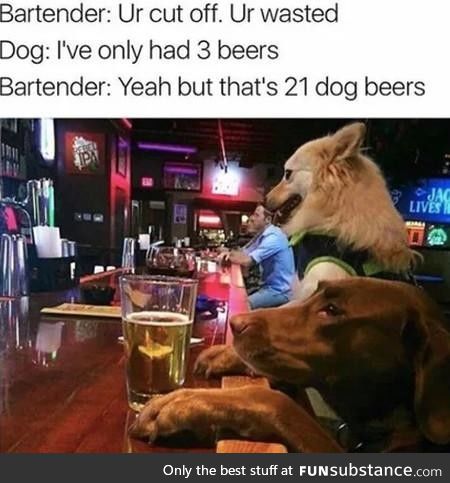 Dog beers
