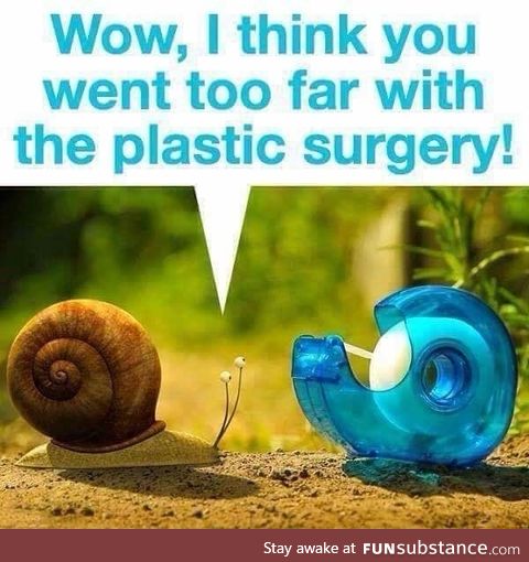 Snail went for plastic surgery