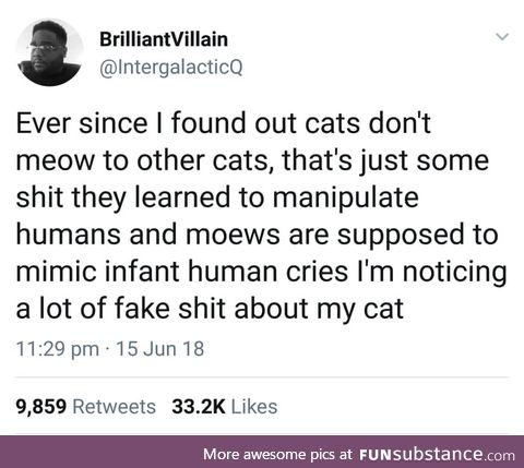 Cats are evil