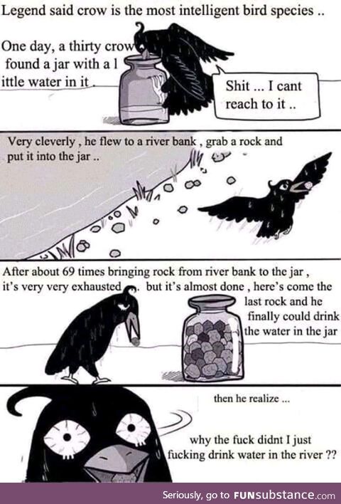 A depressed crow