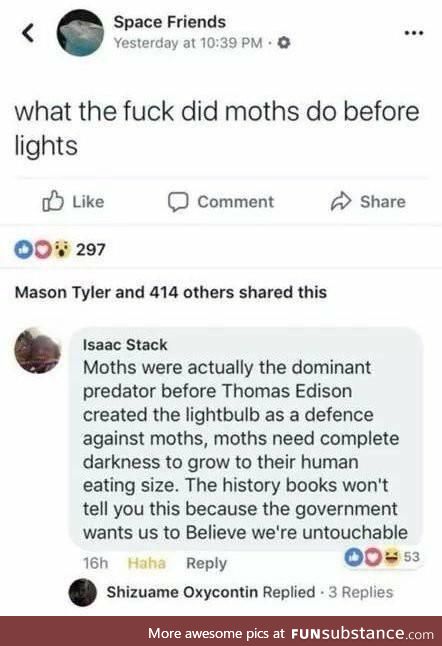 Moths were once the dominant predators