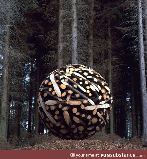 Ball made out of wood