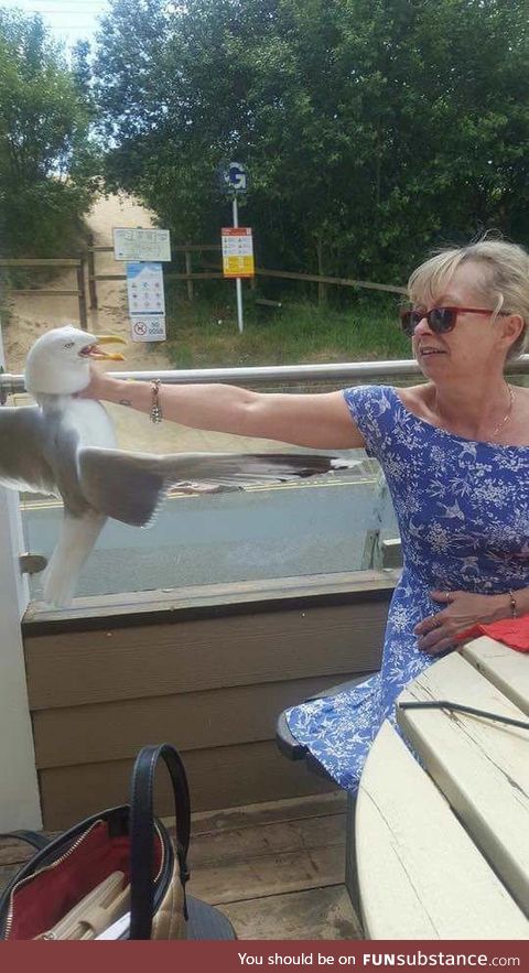 Don't get between gran and her food