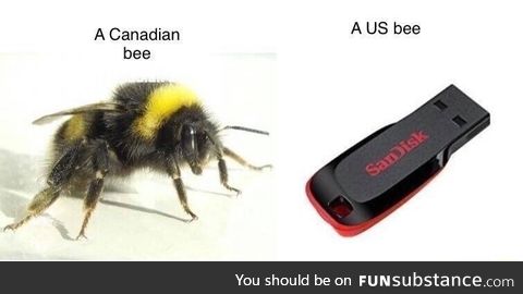 Canadian bee vs US bee