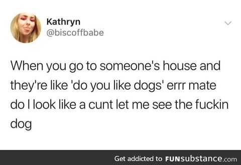 Course I like dogs