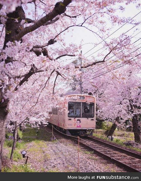 Train in Kyoto, Japan