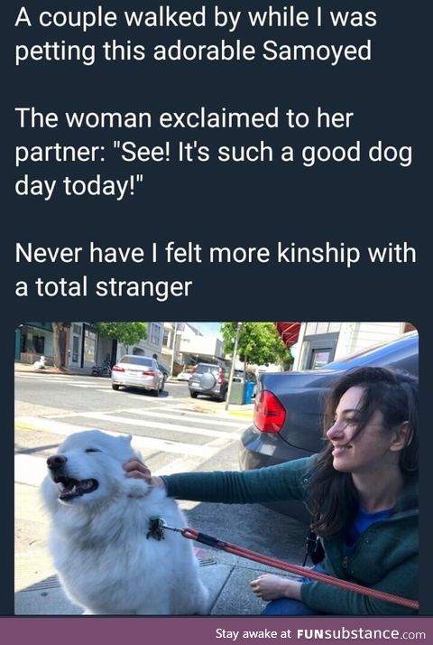 Such a good dog