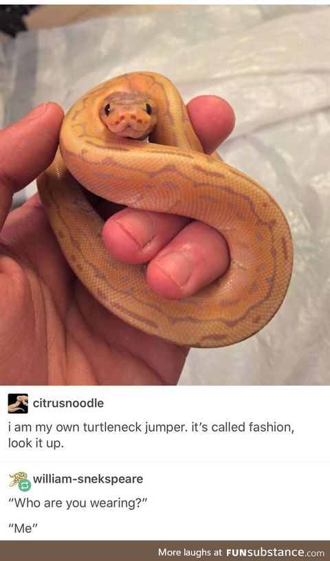 Snek