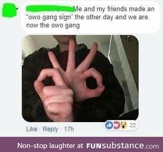 oWo gang