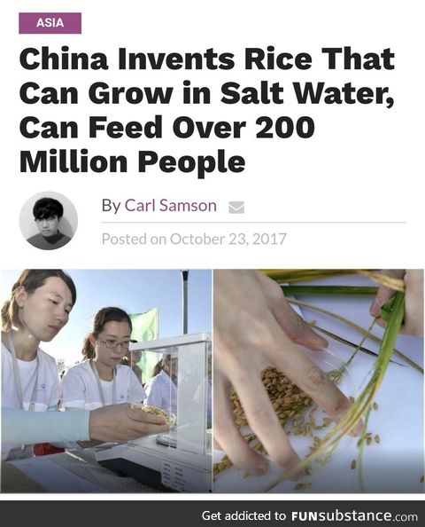 More rice!