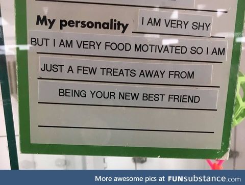 My personality