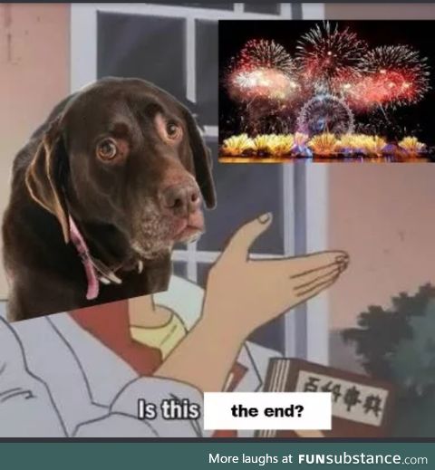 Poor doggos on the weeks of the 4th