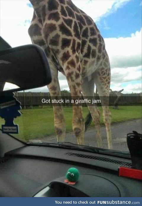 I wouldn't mind being stuck in this jam