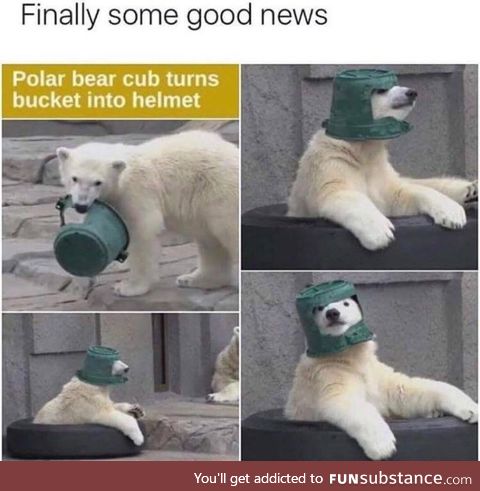 The best of news