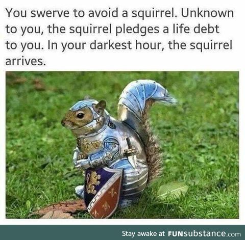 Sir Squirrel