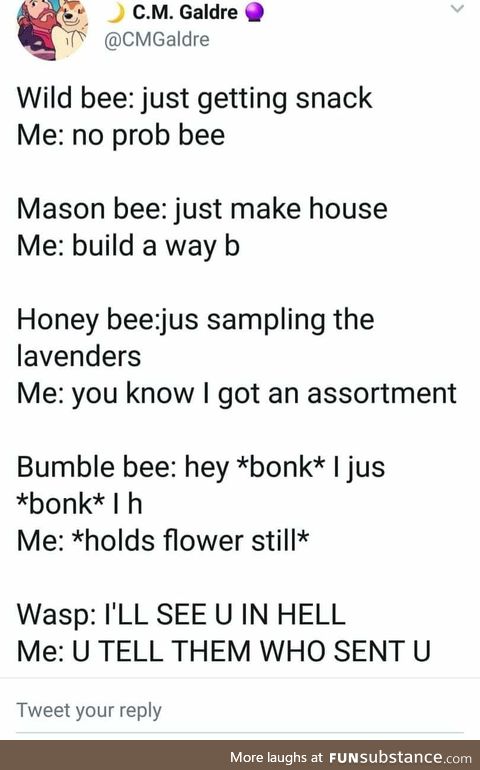Kyuu-bee: Bee-lieve it!