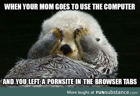 Ashamed Otter knows the woes