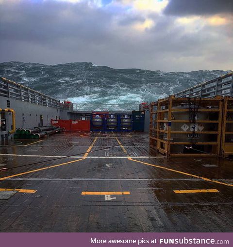 Extreme waves in the North Sea