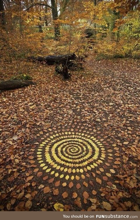 Organizing leaves into elaborate patterns (by James Brunt)