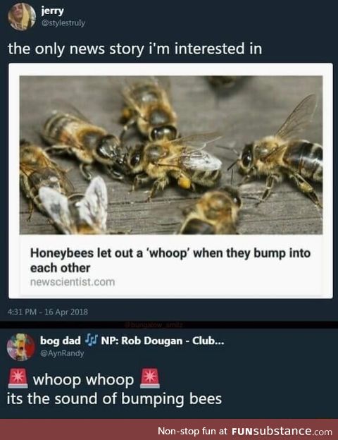 Bees are sorry
