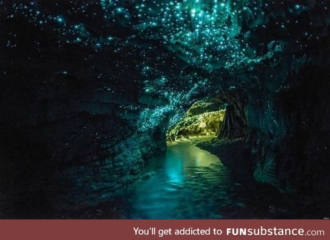 Glow worm Caves in New Zealand