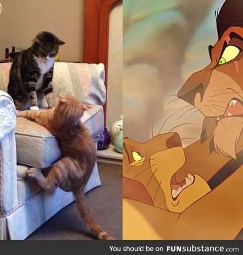 Still of the upcoming Lion King live action remake