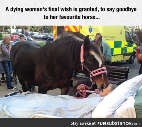 Dying wish