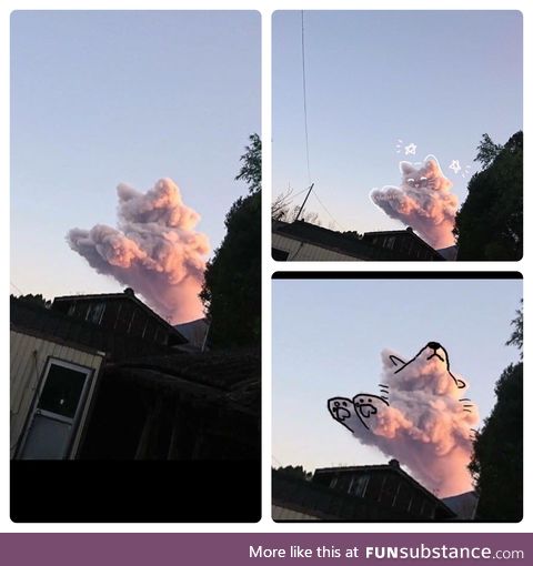 This cloud looks like a cat.. Or dog