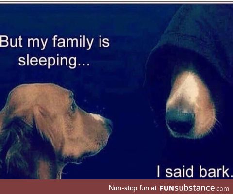 So this is why my dog barks at night!