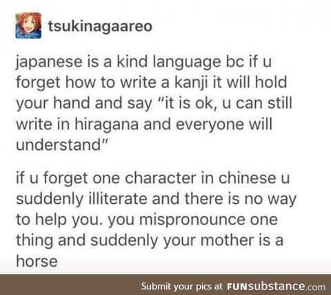 Chinese is hard and your mother is a horse