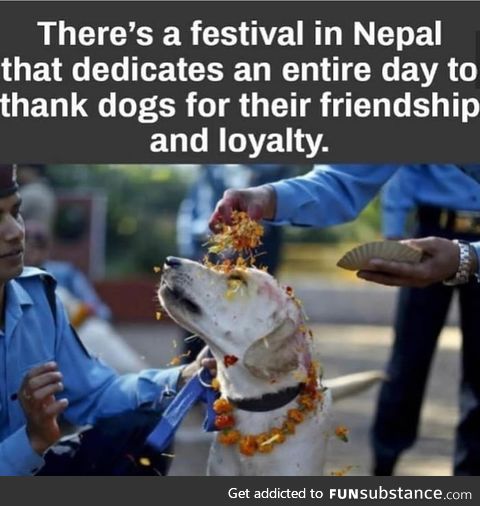 There's another dog festival in China