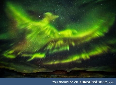 Aurora borealis shaped as a bird