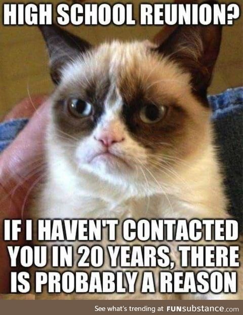 Who else likes/can agree with grumpy cat
